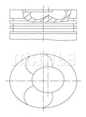 Pistão do kit para 1 cilindro, STD 020320286600 OE Germany