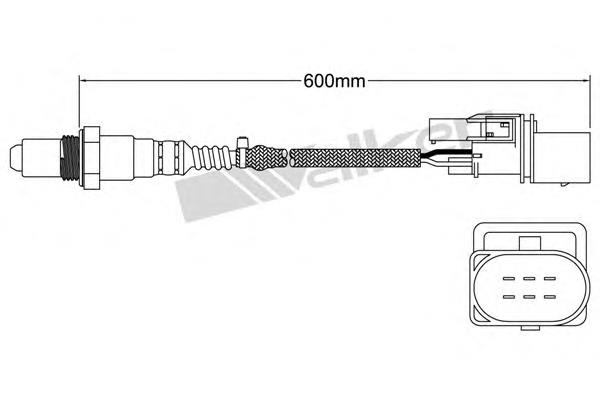 25025002 Walker sonda lambda, sensor direito de oxigênio até o catalisador