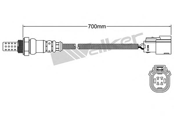 250241023 Walker sonda lambda, sensor de oxigênio depois de catalisador