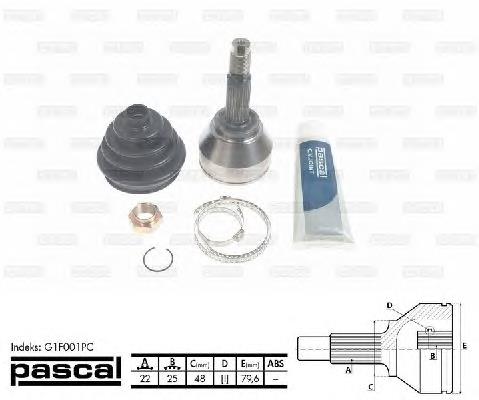 ШРУС наружный Pascal G1F001PC