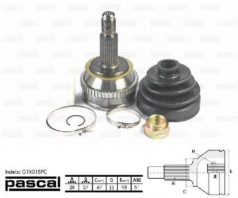 G1X018PC Pascal junta homocinética externa dianteira