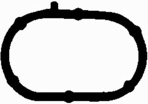 Vedante inferior de tubo coletor de admissão para Fiat Punto (188)