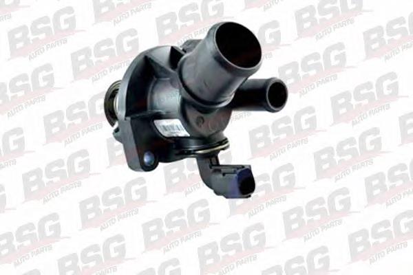 Термостат BSG30126007 BSG