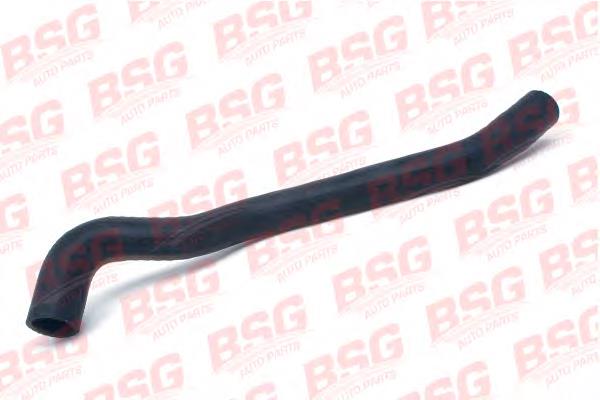 BSG 30-720-046 BSG mangueira (cano derivado do radiador de esfriamento superior)
