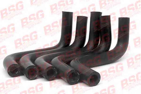 BSG 30-720-022 BSG шланг (патрубок вакуумного насоса)