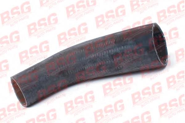 BSG 30-720-100 BSG mangueira (cano derivado de intercooler)