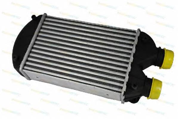 DAF002TT Thermotec radiador de intercooler