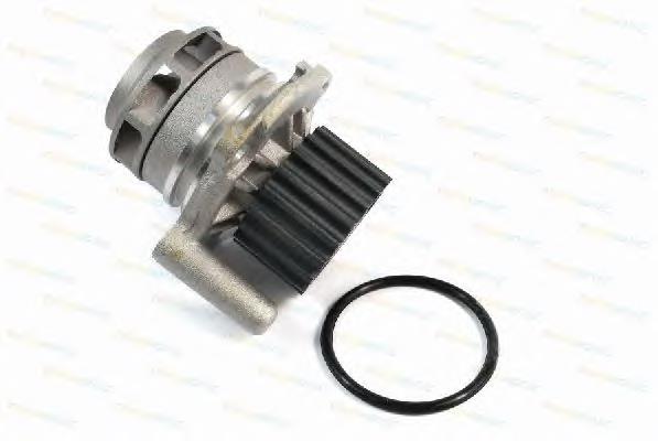 Помпа D1A024TT Thermotec