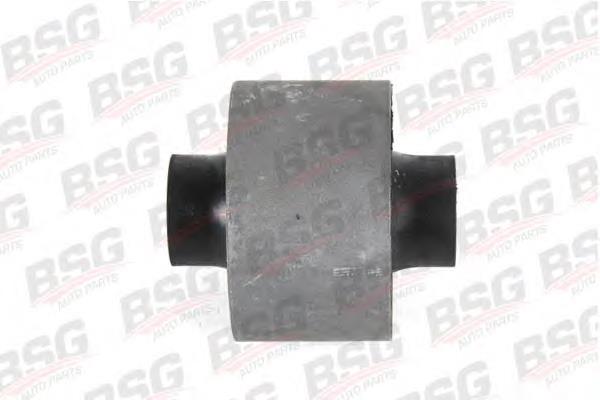 BSG 30-700-053 BSG bloco silencioso dianteiro do braço oscilante inferior