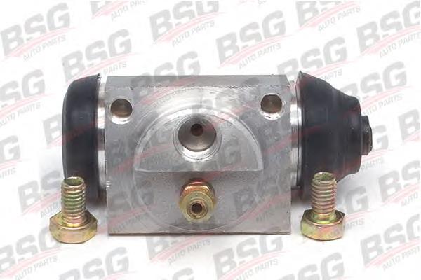 BSG 30-220-010 BSG cilindro traseiro do freio de rodas de trabalho