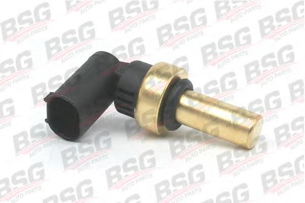 BSG60840012 BSG Термовыключатель