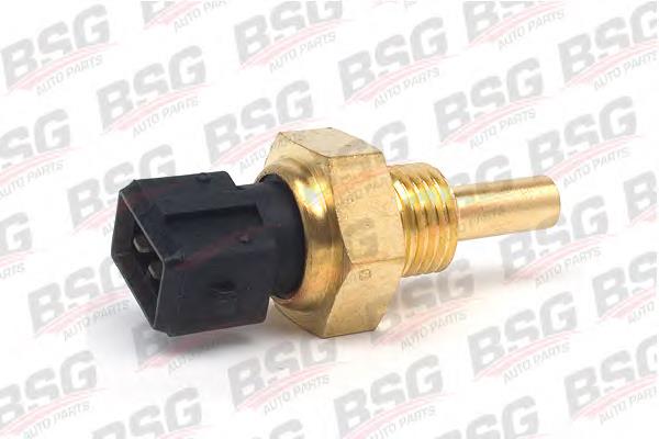 BSG 60-840-010 BSG sensor de temperatura do fluido de esfriamento, no dispositivo