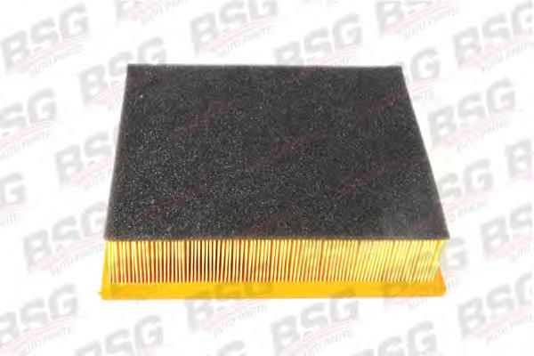 BSG 60-135-001 BSG filtro de ar