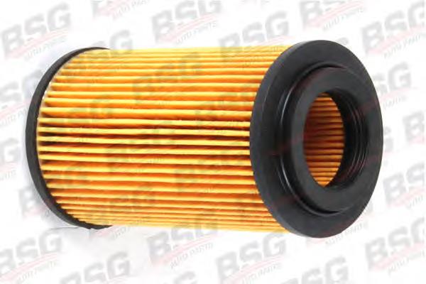 BSG 60-130-002 BSG filtro de combustível