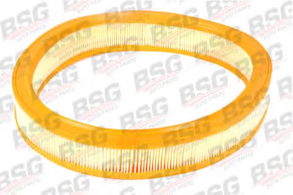 BSG30135008 BSG воздушный фильтр