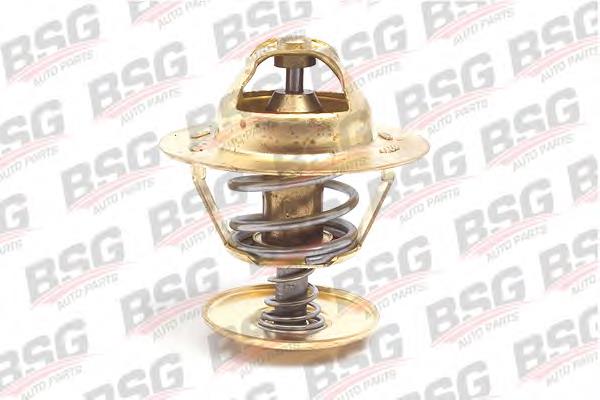 BSG 30-125-004 BSG termostato