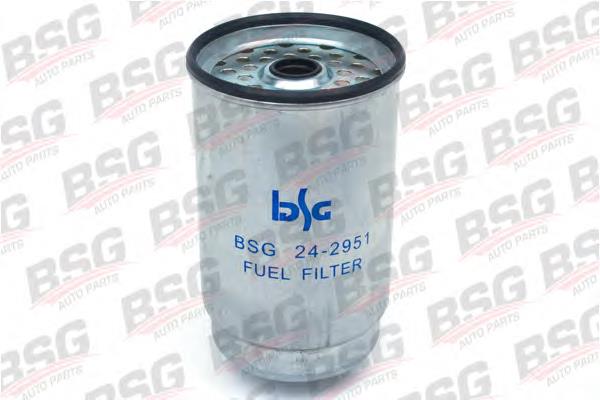 BSG 30-130-001 BSG filtro de combustível