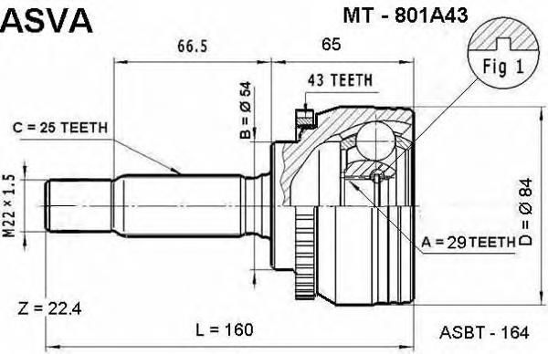 MT801A43 Asva junta homocinética externa dianteira