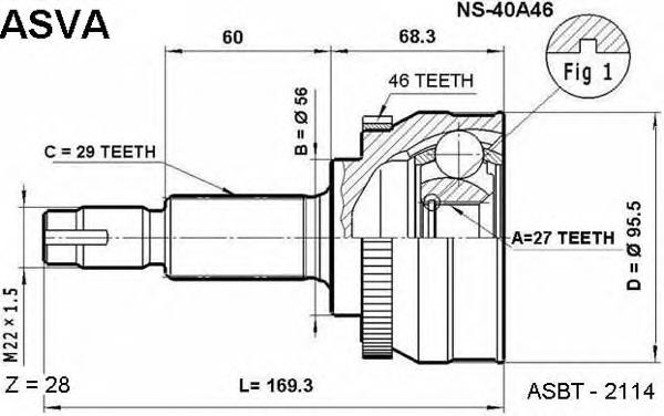 NS40A46 Asva junta homocinética externa dianteira