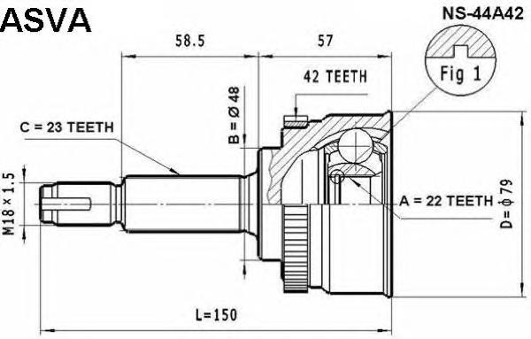 NS44A42 Asva junta homocinética externa dianteira