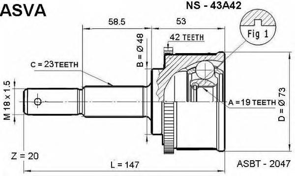 NS43A42 Asva junta homocinética externa dianteira