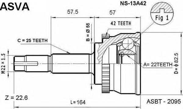 NS13A42 Asva junta homocinética externa dianteira