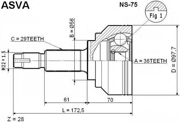 NS75 Asva junta homocinética externa dianteira