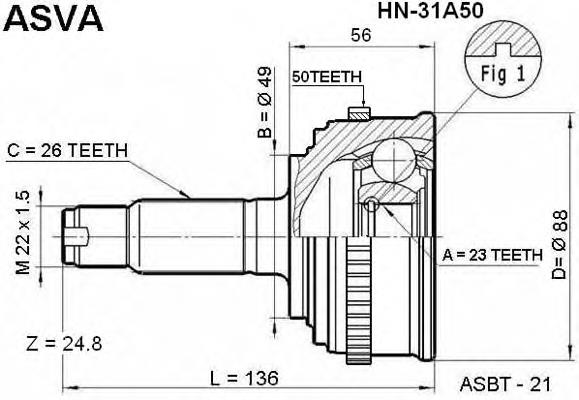 HN31A50 Asva junta homocinética externa dianteira