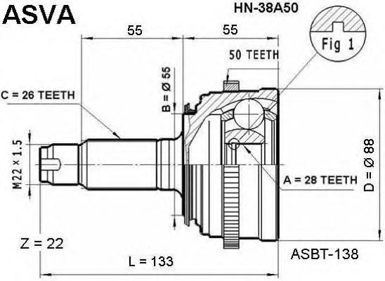 HN38A50 Asva junta homocinética externa dianteira