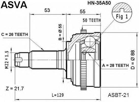 HN35A50 Asva junta homocinética externa dianteira