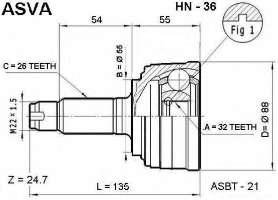 HN36 Asva junta homocinética externa dianteira