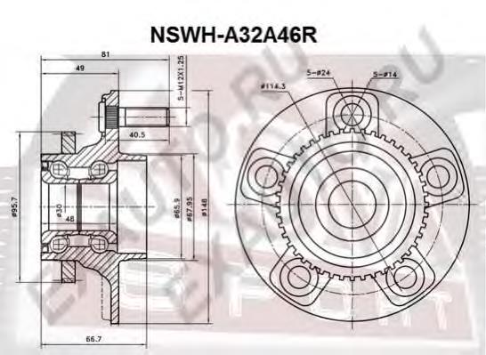 Cubo traseiro NSWHA32A46R Asva