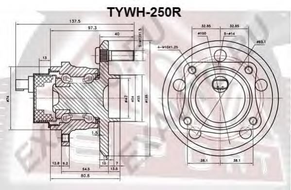 TYWH250R Asva cubo traseiro