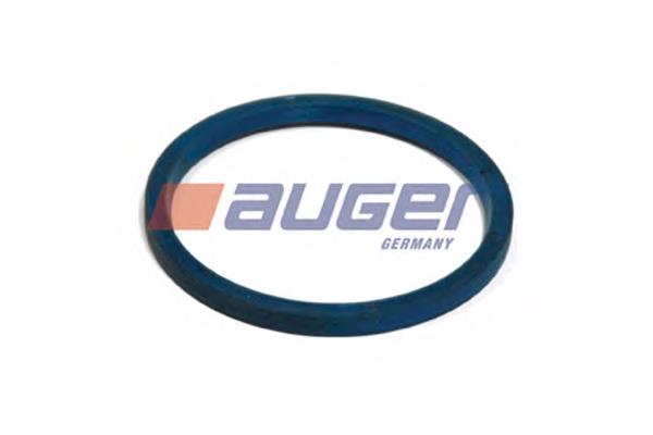 54879 Auger 