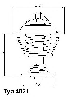 482189D Wahler termostato