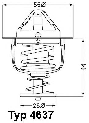 463782D Wahler termostato