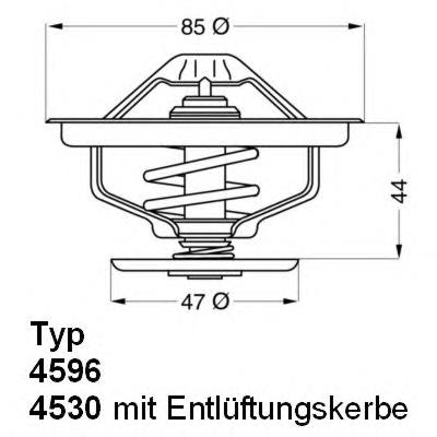 459683D Wahler termostato