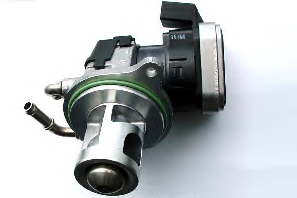 Válvula EGR de recirculação dos gases 7504D Wahler