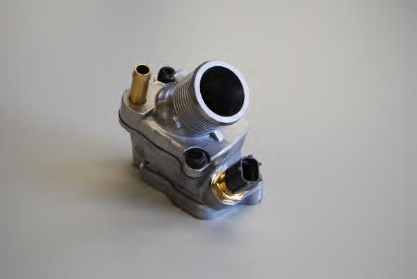 Термостат в сборе Wahler 481890D