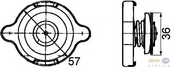 Compre PCD100150 Allmakes Tampa (tampão) do radiador
