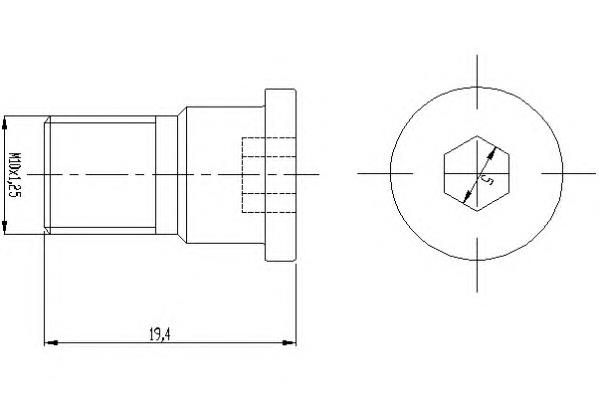 BGK009 Delphi 