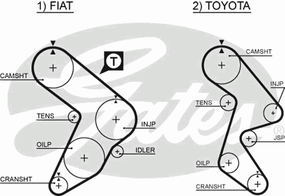 5985163 Fiat/Alfa/Lancia correia do mecanismo de distribuição de gás