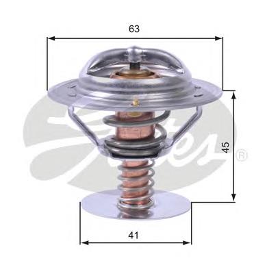 107130610001 GAZ termostato