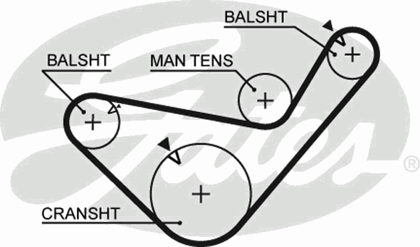 Correia da árvore de equilibração 5456XS Gates