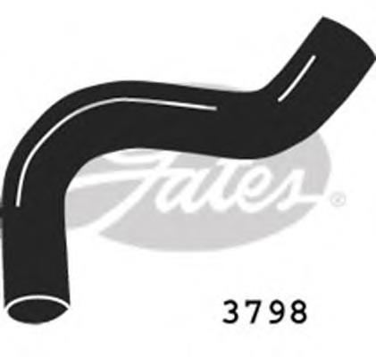 Mangueira (cano derivado) inferior do radiador de esfriamento para Ford Transit (T)