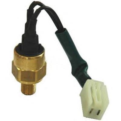 Sensor de temperatura do fluido de esfriamento 82973 Sidat