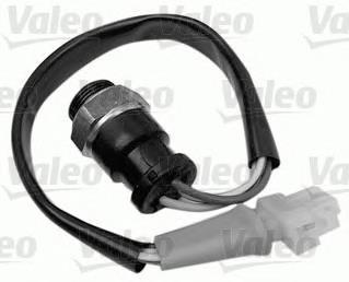 6025106008 Renault (RVI) sensor de temperatura do fluido de esfriamento (de ativação de ventilador do radiador)