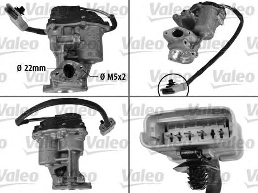 Válvula EGR de recirculação dos gases 700420 VALEO