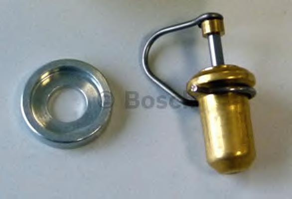  Bosch F026T03038