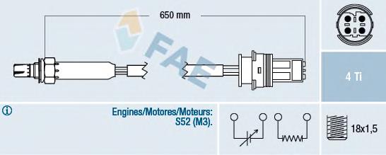  77353 FAE